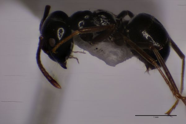 Aufnahme von der Seite