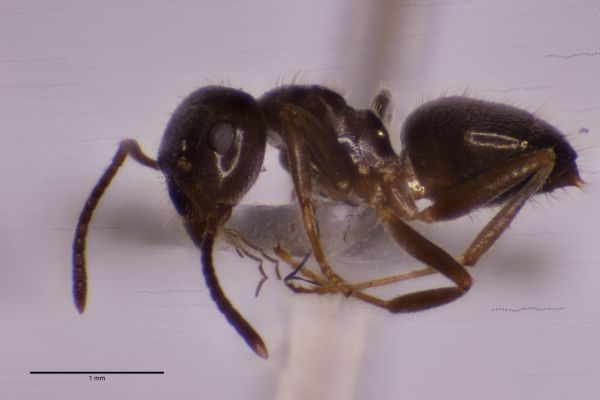 Aufnahme von der Seite