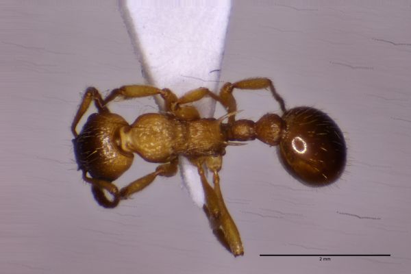 Aufnahme von Oben
