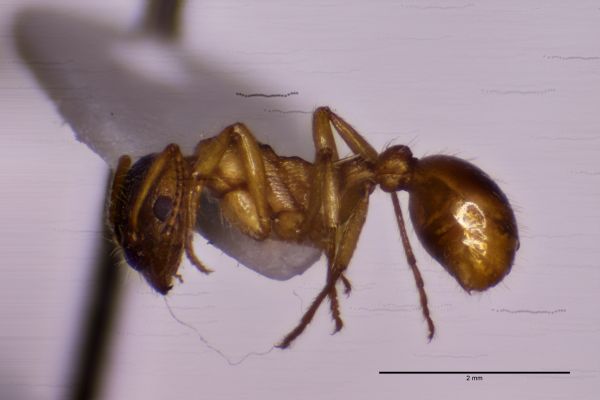 Aufnahme von der Seite