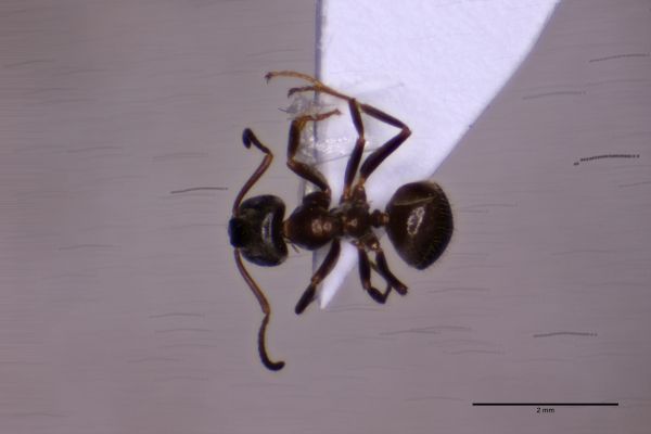 Aufnahme von Oben