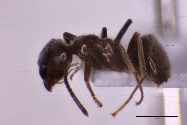 Aufnahme von der Seite