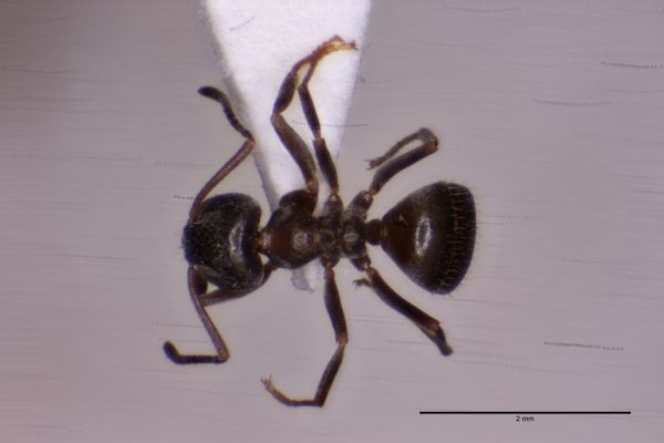 Aufnahme von Oben