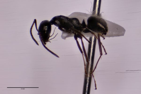 Aufnahme von der Seite