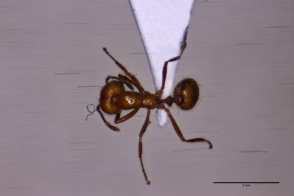 Aufnahme von Oben