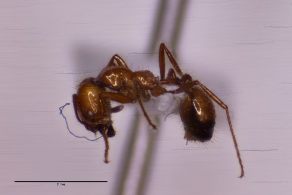 Aufnahme von der Seite
