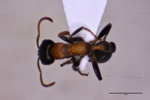 Aufnahme von Oben