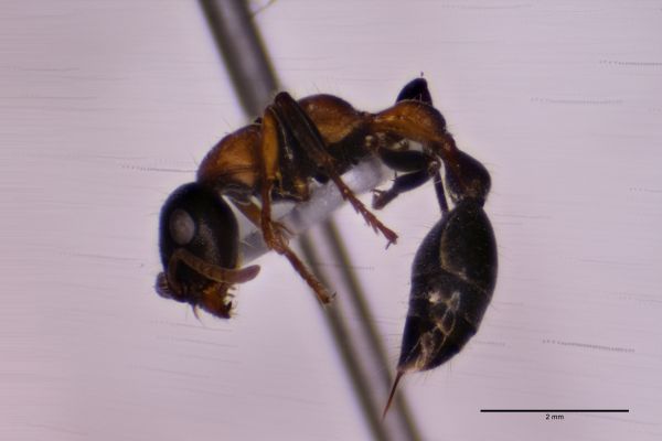 Aufnahme von der Seite