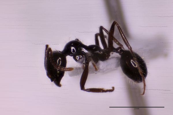 Aufnahme von der Seite