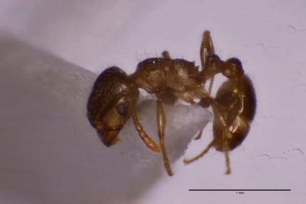 Aufnahme von der Seite