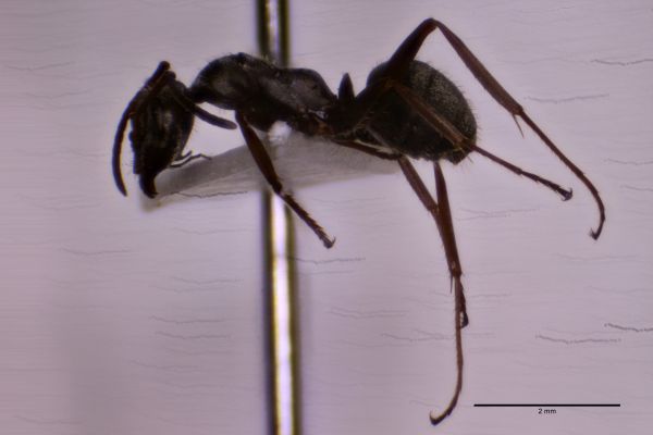 Aufnahme von der Seite