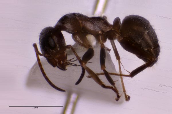 Aufnahme von der Seite