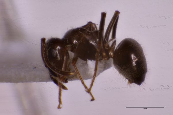 Aufnahme von der Seite