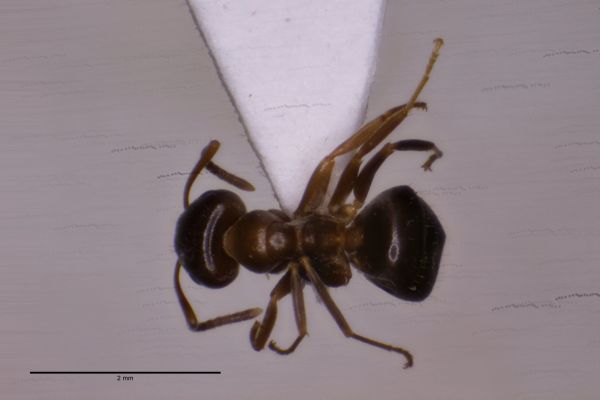 Aufnahme von Oben