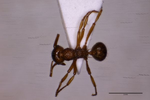 Aufnahme von Oben