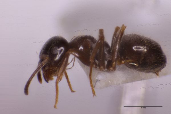 Aufnahme von der Seite