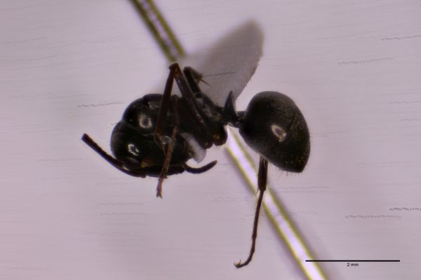 Aufnahme von der Seite