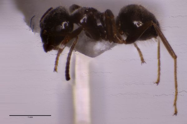 Aufnahme von der Seite