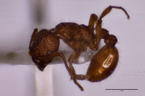 Aufnahme von der Seite