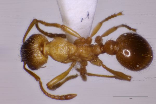 Aufnahme von Oben