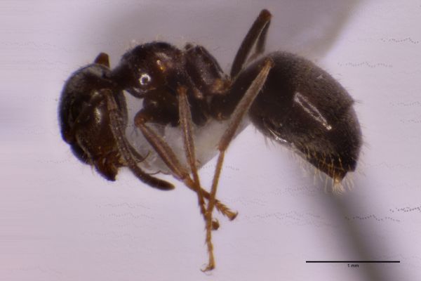 Aufnahme von der Seite