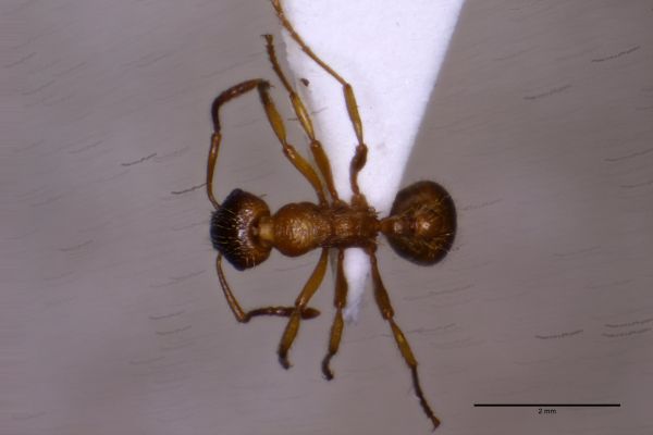 Aufnahme von Oben
