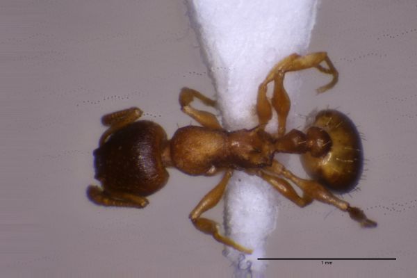 Aufnahme von Oben