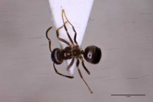 Aufnahme von Oben