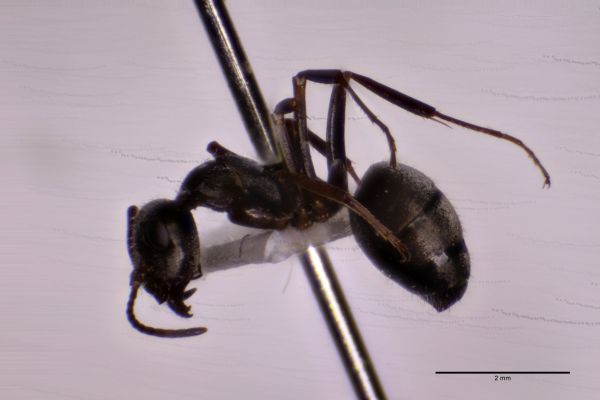 Aufnahme von der Seite