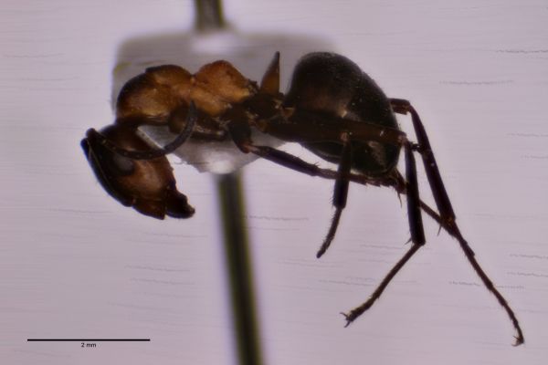 Aufnahme von der Seite