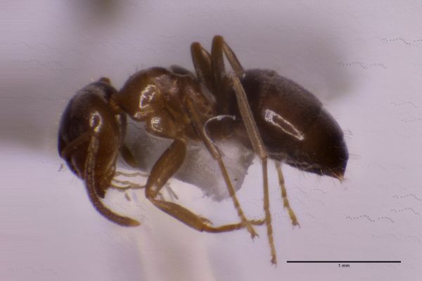 Aufnahme von der Seite